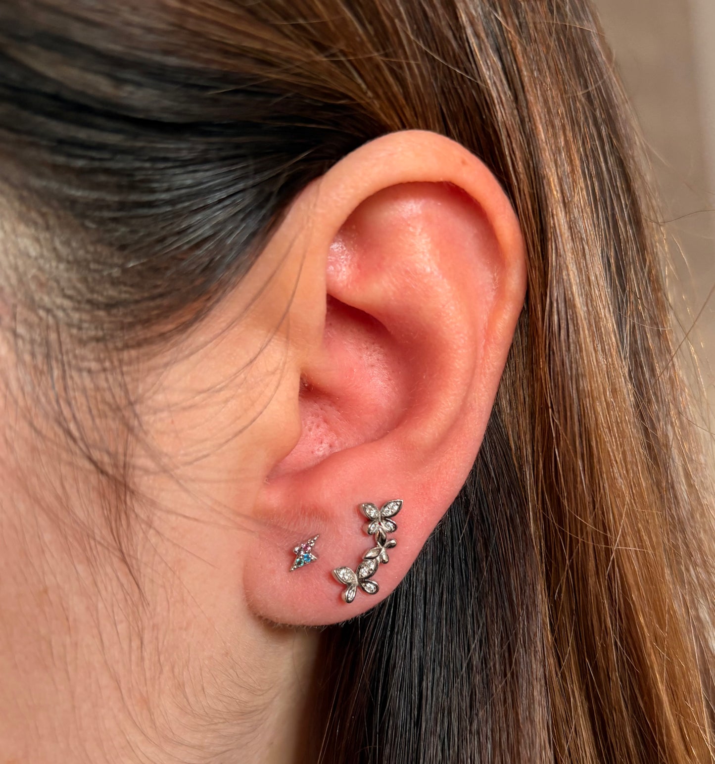 Orecchini Farfalla con Zirconi